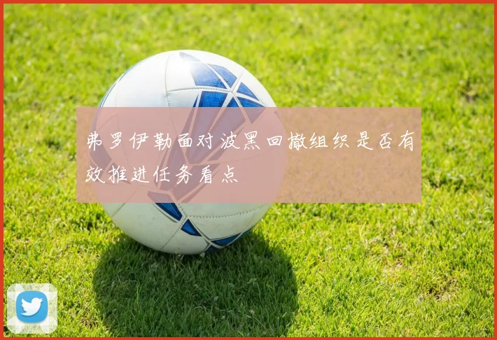 弗罗伊勒面对波黑回撤组织是否有效推进任务看点