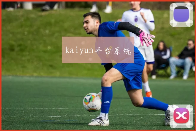 kaiyun平台系统