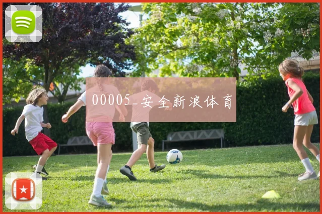 00005_安全新浪体育