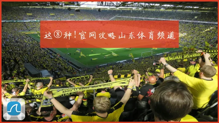 这⑧种!官网攻略山东体育频道