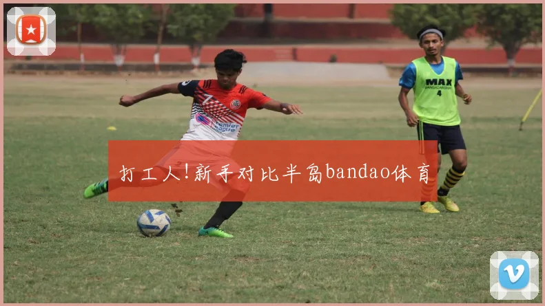 打工人!新手对比半岛bandao体育