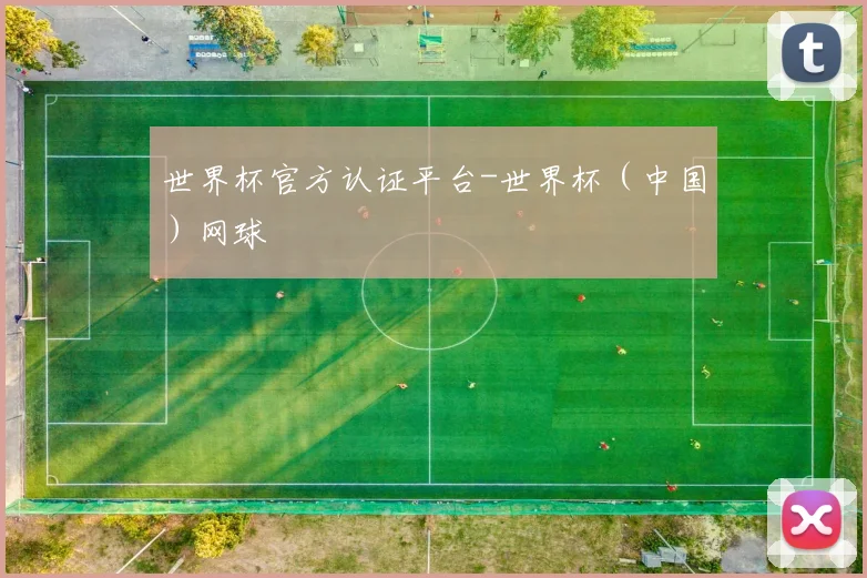 世界杯官方认证平台-世界杯（中国）网球