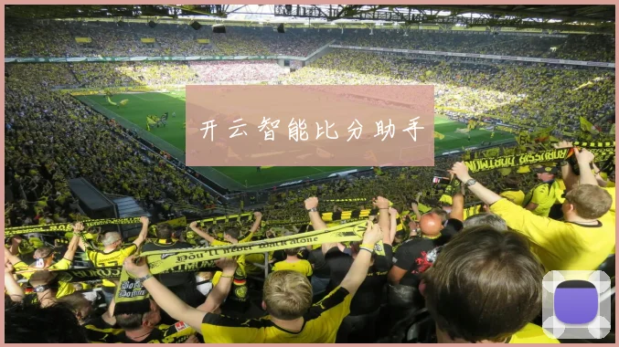 开云智能比分助手