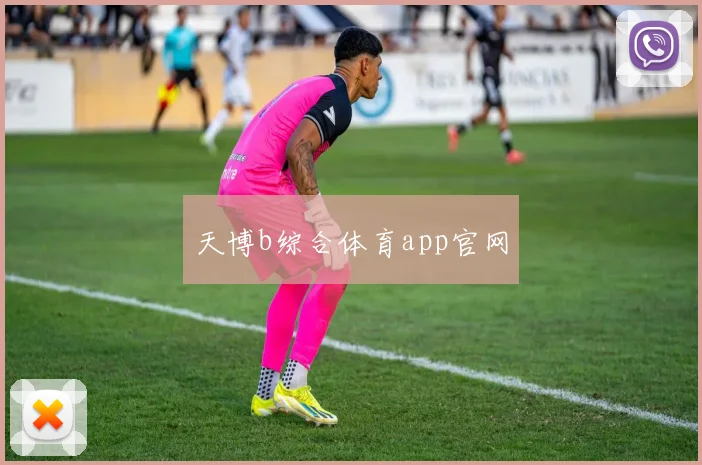 天博b综合体育app官网
