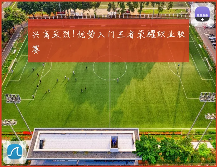 兴高采烈!优势入门王者荣耀职业联赛