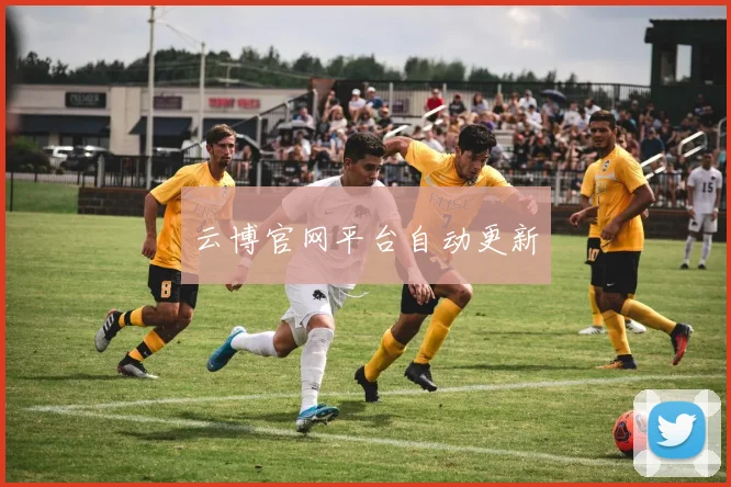 云博官网平台自动更新