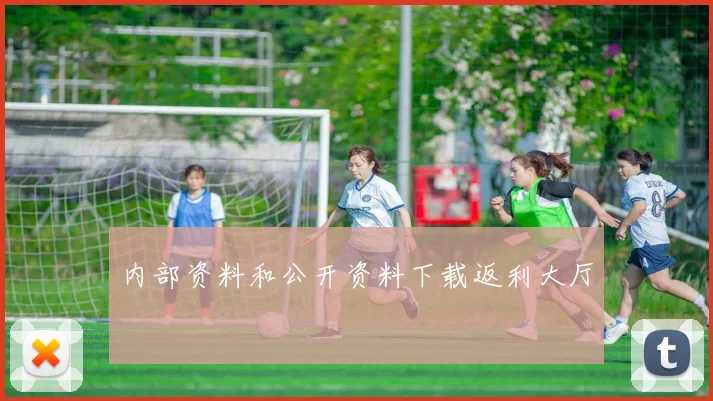 内部资料和公开资料下载返利大厅
