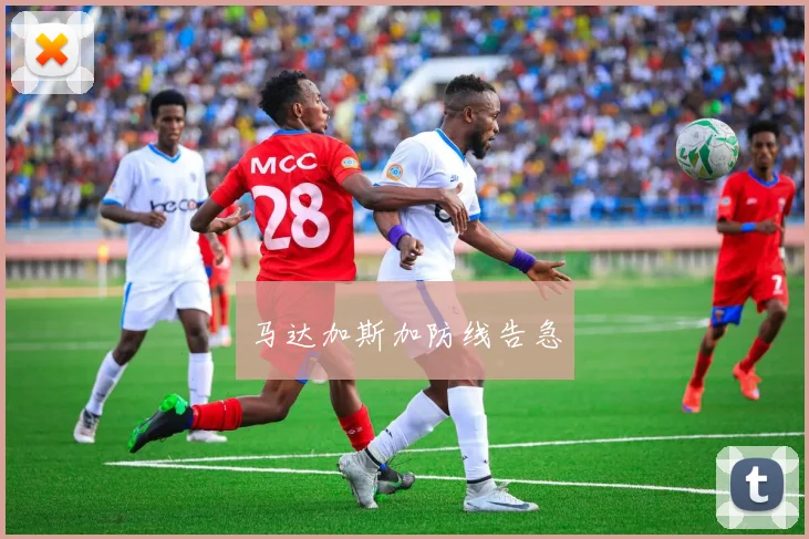 马达加斯加防线告急