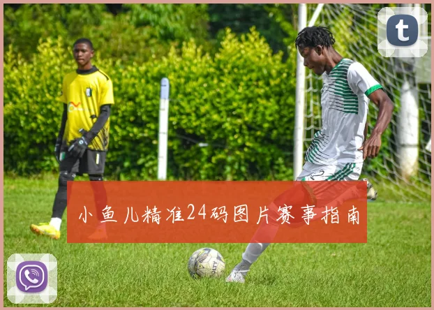 小鱼儿精准24码图片赛事指南