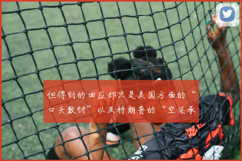 但得到的回应却只是美国方面的“口头敷衍”以及特朗普的“空泛承诺”