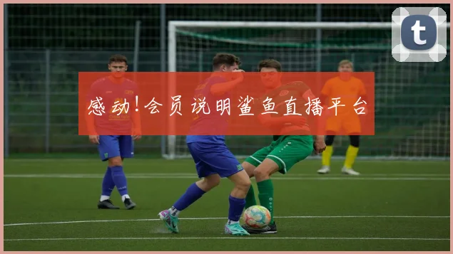 感动!会员说明鲨鱼直播平台