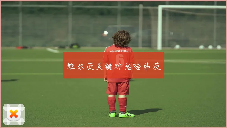维尔茨关键对话哈弗茨