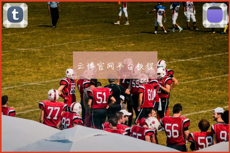 云博官网平台教程