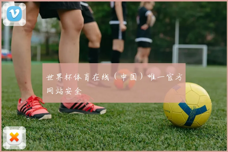 世界杯体育在线（中国）唯一官方网站安全