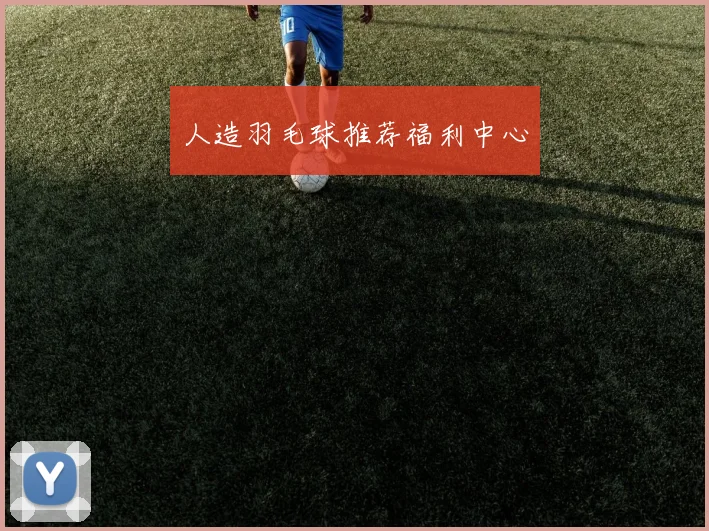 人造羽毛球推荐福利中心