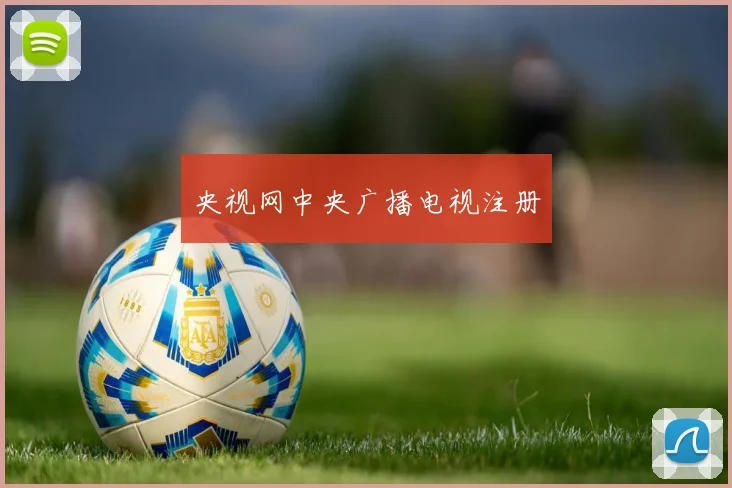 央视网中央广播电视注册