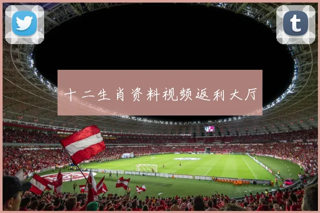 十二生肖资料视频返利大厅