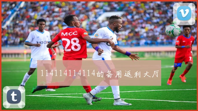 114114114114的备用返利大厅