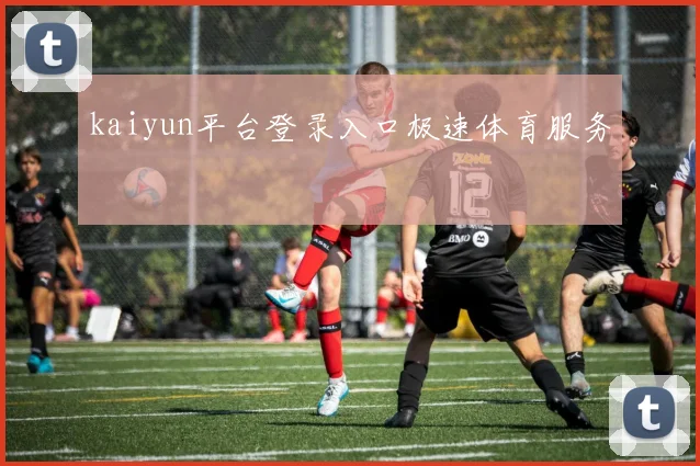 kaiyun平台登录入口极速体育服务