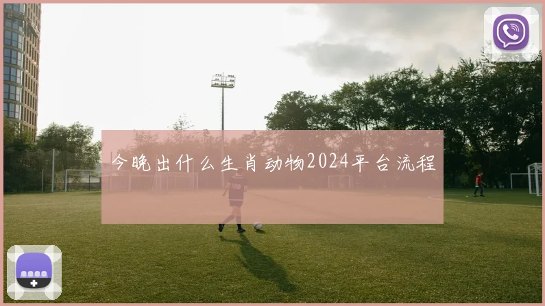 今晚出什么生肖动物2024平台流程