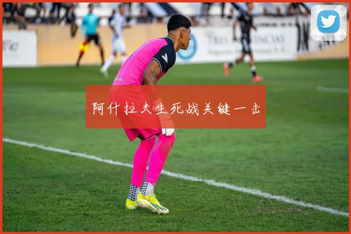 阿什拉夫生死战关键一击
