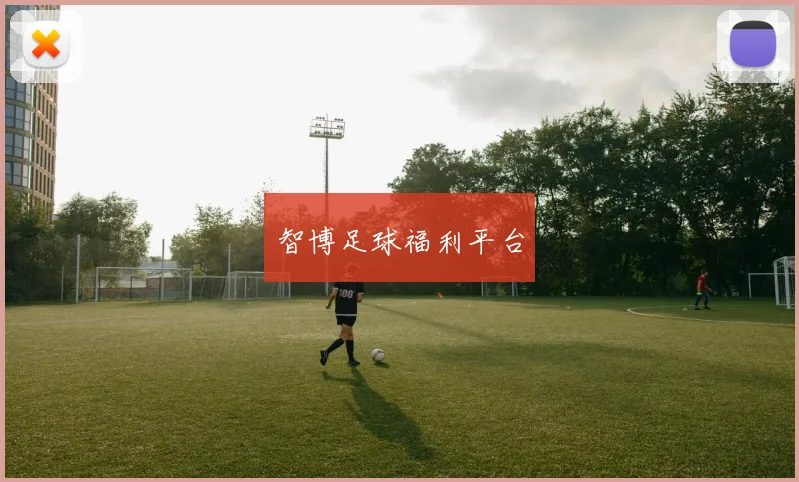 智博足球福利平台