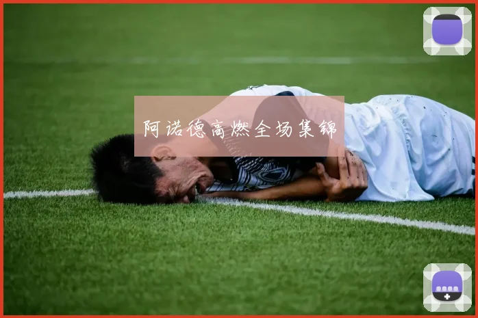 阿诺德高燃全场集锦
