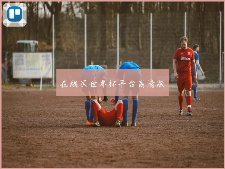 在线买世界杯平台高清版