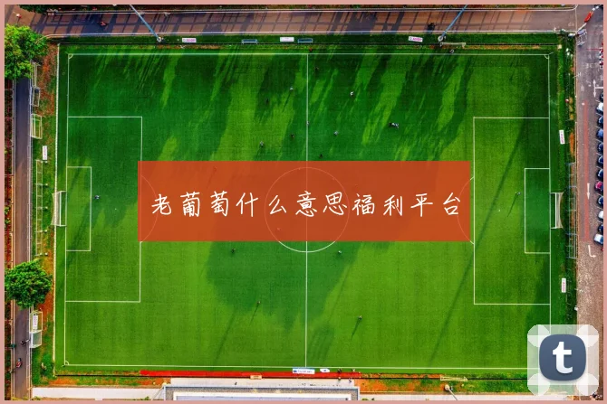 老葡萄什么意思福利平台