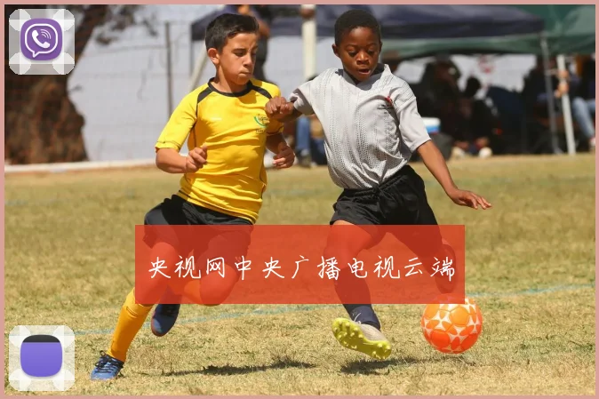 央视网中央广播电视云端