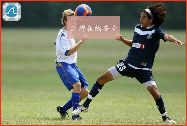亚搏在线安全