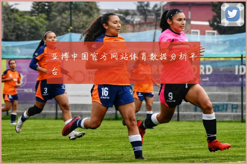 亚搏中国官方网站体育数据分析平台