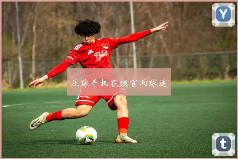 压球手机在线官网球迷