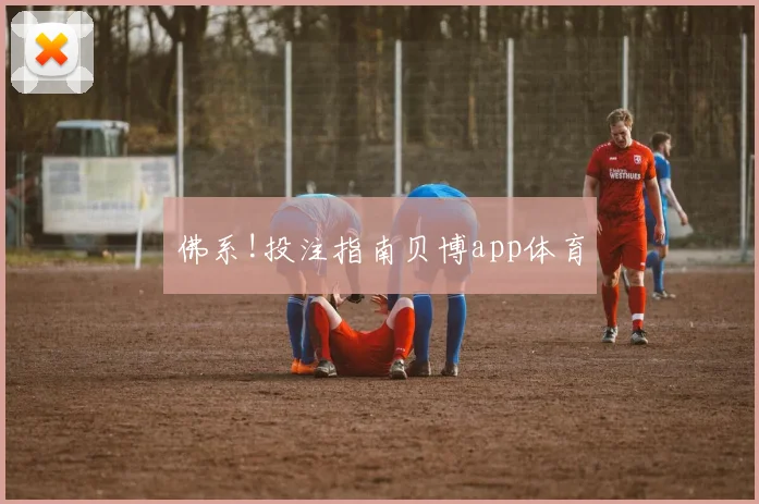 佛系!投注指南贝博app体育
