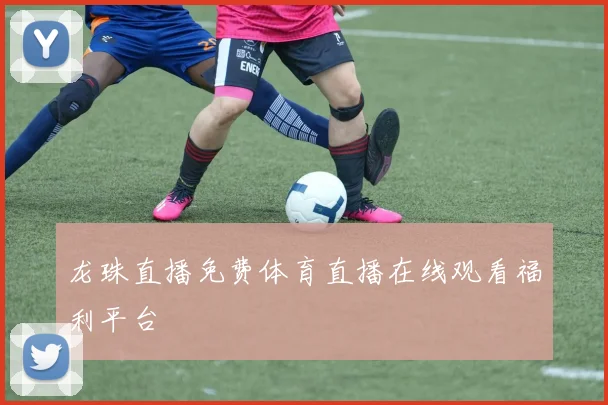 龙珠直播免费体育直播在线观看福利平台