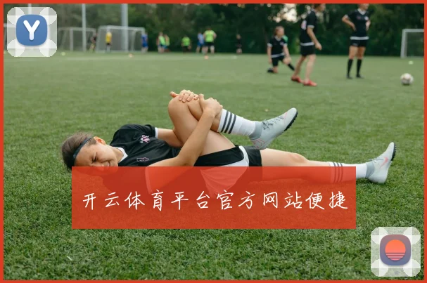 开云体育平台官方网站便捷