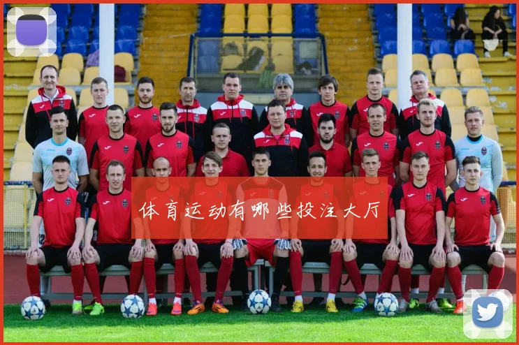 体育运动有哪些投注大厅