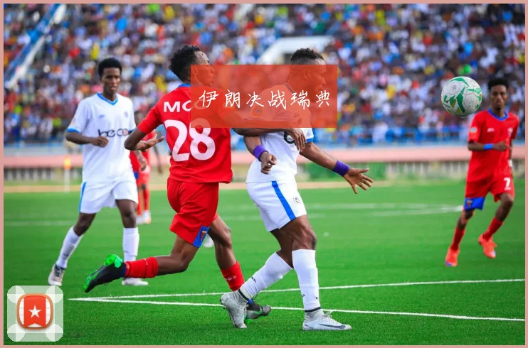 伊朗决战瑞典
