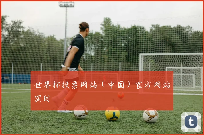 世界杯投票网站（中国）官方网站实时