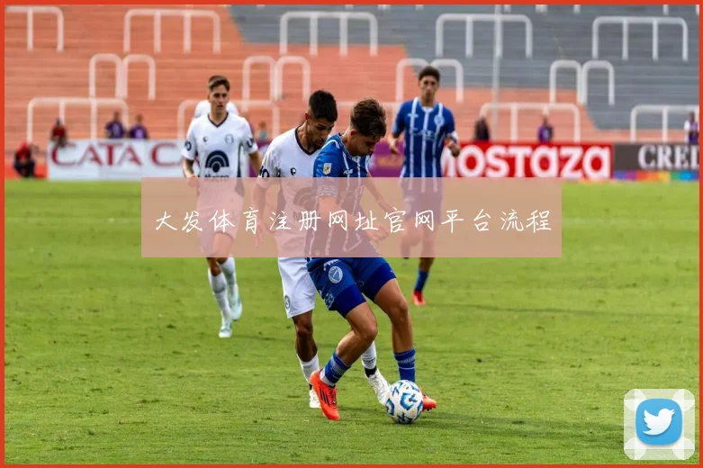 大发体育注册网址官网平台流程