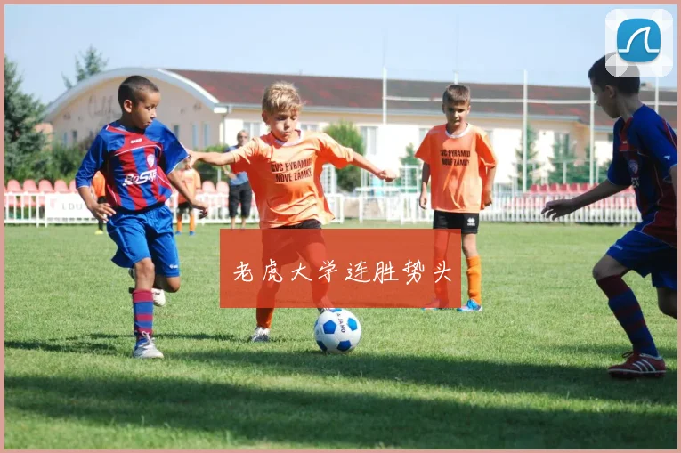 老虎大学连胜势头