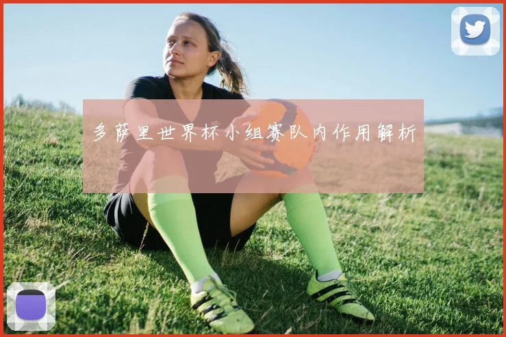 多萨里世界杯小组赛队内作用解析
