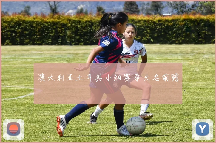澳大利亚土耳其小组赛争头名前瞻