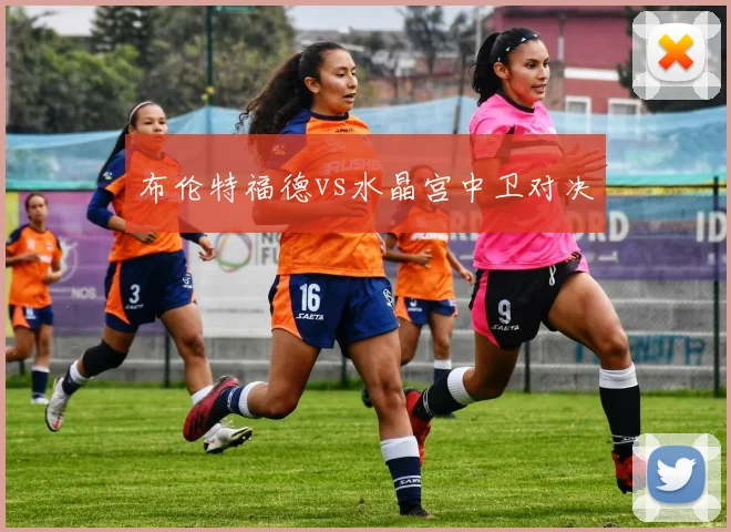 布伦特福德vs水晶宫中卫对决