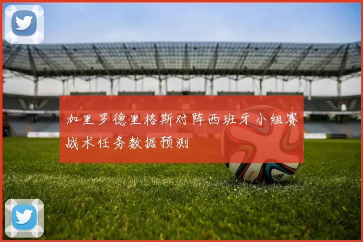 加里罗德里格斯对阵西班牙小组赛战术任务数据预测